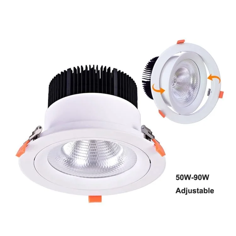 Yönlendirilebilir downlight — aile görseli, model gücünü doğrulayın