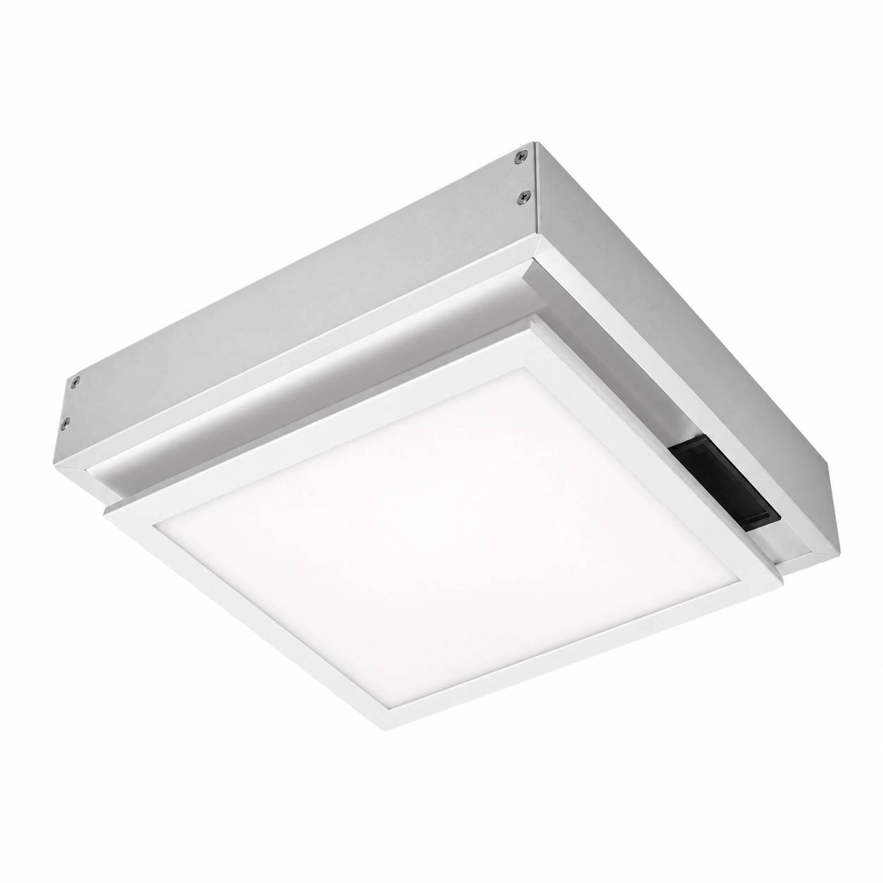 Panel 600 × 600 dengan pilihan renderasi warna